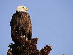 Click to see Y-1050911-ISO-200.JPG