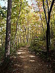 Click to see Y-G9-P1000058.JPG