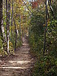 Click to see Y-G9-P1000063.JPG