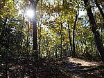 Click to see Y-G9-P1000081.JPG