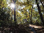 Click to see Y-G9-P1000082.JPG