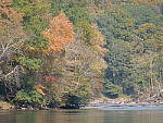 Click to see Y-G9-P1000400.JPG