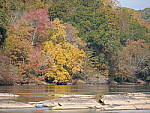Click to see Y-G9-P1000405.JPG