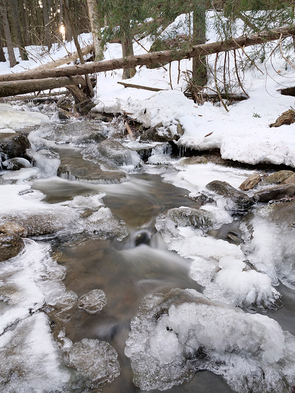 Panasonic G9 Review: Field Test -- Gallery Image