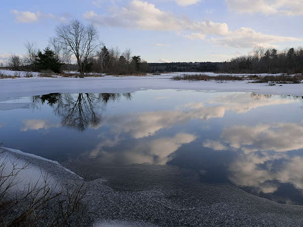 Panasonic G9 Review: Field Test -- Gallery Image