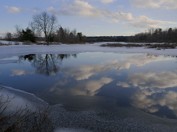 Panasonic G9 Review: Field Test -- Gallery Image