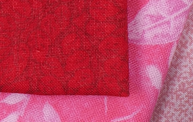 Panasonic G9 - 100% crop from High Res Shot Mode image