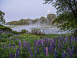 Click to see Y-JG-G95-1462-MOD.JPG