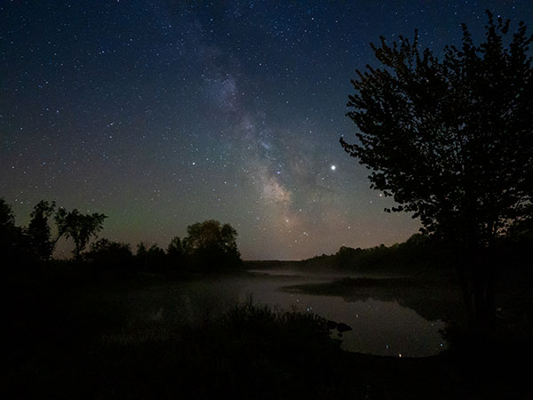Panasonic G95 Review: Field Test -- Gallery Image