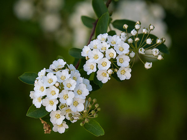 Panasonic G95 Review: Field Test -- Gallery Image