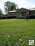 Click to see YP1000069.jpg