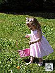 Click to see YP1000095.jpg