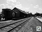 Click to see YP1000243.jpg
