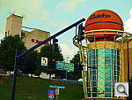 Click to see YP1020378.JPG