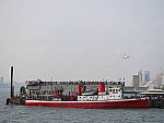 Click to see YP1000541.JPG
