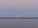 Click to see YP1000854.JPG