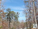 Click to see GH3PINE_SPu300r03.JPG