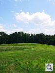 Click to see YFXP1020686.JPG