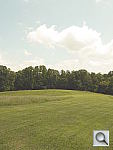 Click to see YFXP1020687.JPG