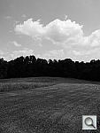 Click to see YFXP1020688.JPG