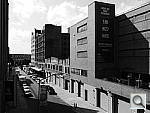 Click to see YP1020237.JPG