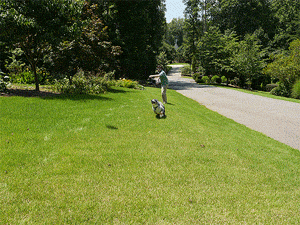 Panasonic GH3 review -- Burst-mode example