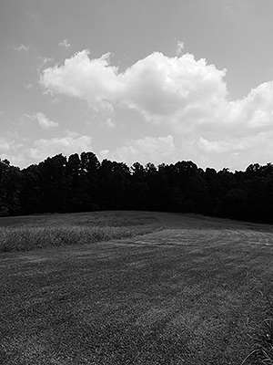 Panasonic GH3 review -- Dynamic Monochrome filter