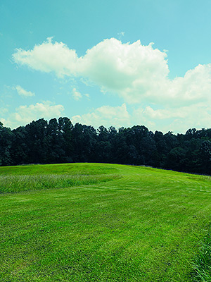 Panasonic GH3 review -- Cross Process filter