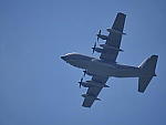 Click to see YP1190455.JPG