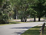 Click to see YP1190459.JPG
