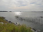 Click to see YP1190483.JPG