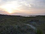 Click to see YP1190519.JPG