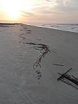 Click to see YP1190537.JPG
