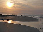 Click to see YP1190541.JPG