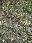 Click to see YP1190905.JPG