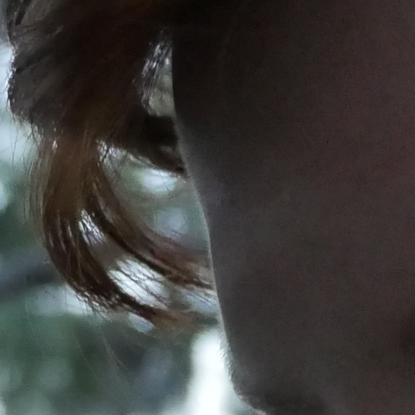 Panasonic GH4 Review -- sample gallery image crop