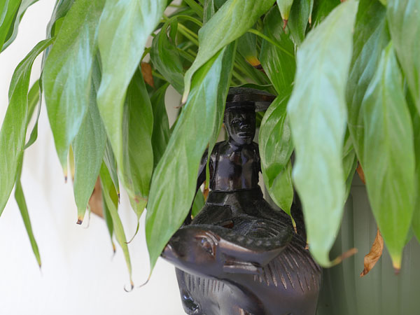 Panasonic GH5 review -- Sample photo from the earlier Panasonic GH4