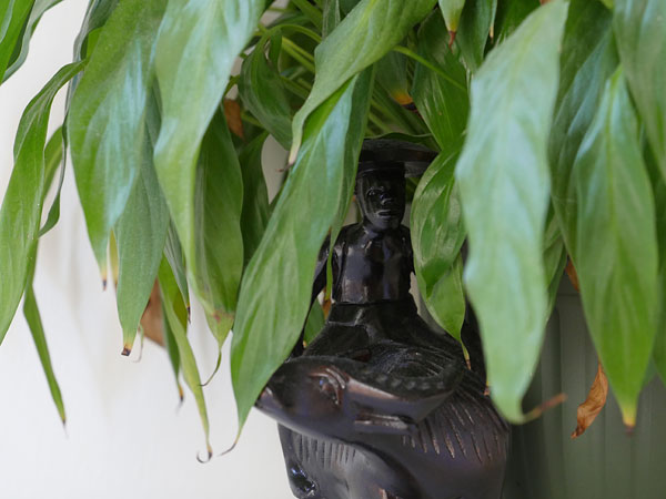 Panasonic GH5 review -- Sample photo from the earlier Panasonic GH4