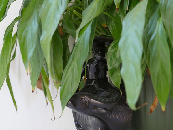Panasonic GH5 review -- Sample photo from the earlier Panasonic GH4