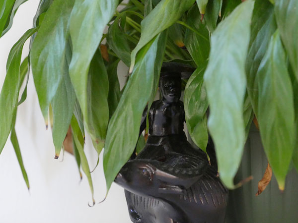 Panasonic GH5 review -- Sample photo from the earlier Panasonic GH4