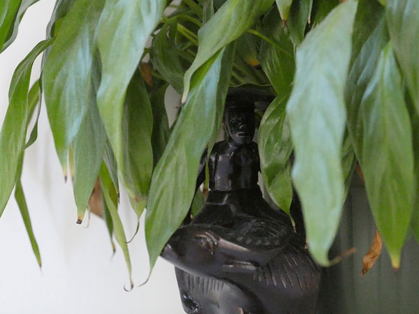 Panasonic GH5 review -- Sample photo from the earlier Panasonic GH4