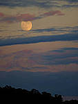 Click to see YC-200mm-1300-EDIT.JPG