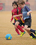 Click to see YC-200mm-1442-ED.JPG
