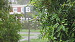 Click to see YP1000135.JPG