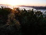 Click to see YP1000217.JPG