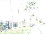 Click to see YP1000275.JPG