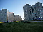 Click to see YP1000287.JPG