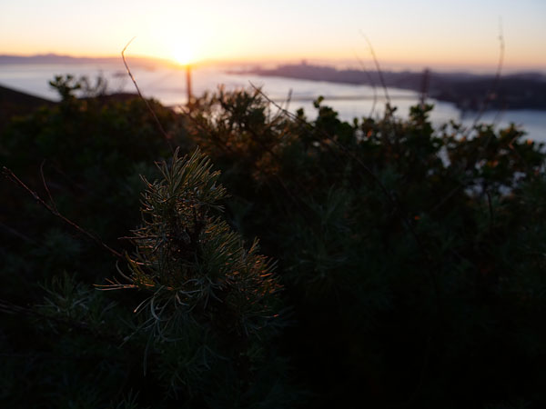 Panasonic GH5 review -- Sample photo