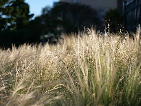 Panasonic GH5 Review -- Gallery Image