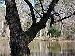 Click to see Y-GH6_BETA-P1000015.JPG